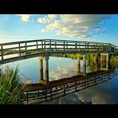 A Space of Allowing Radio with Nancy Coco: Welcoming All That Wants to Be Present Today: Be the Bridge!