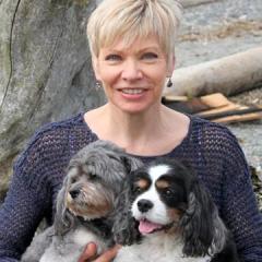 darcy pariso animal communicator