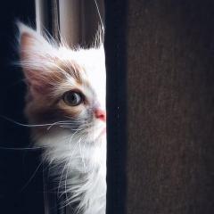 getting to know you with darcy pariso on transformation talk radio