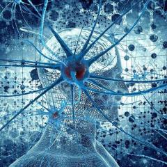 Ascending With The Arcturians with Viviane Chauvet: Power of The Mind - Create Harmony!