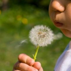 Tracy Lynn Wallace, Awaken Your Magic Within, The Dr Pat Show, Dr Pat Show, Dr Pat, Pat Baccili, Transformation Talk Radio, transformation