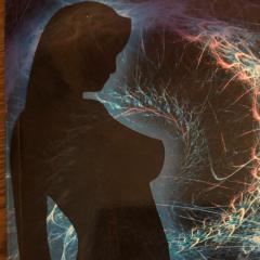 Awareness to Action with Joan Marlow:  The Journey Towards Living Your Life's Purpose: Toxic Tits