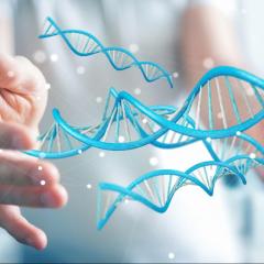 B.E.S.T. Living Show with Dr. Rachelle: Breathe ~ Eat ~ Sleep ~ Thrive in Every Aspect of Your Life: Bioregulators: The regenerative power of peptides.