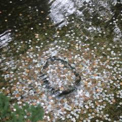 Jennifer Marcenelle, The Burn Bright Today Show, The Dr Pat Show, Dr Pat, Dr Pat Show, Pat Baccili, Transformation Talk Radio, transformation