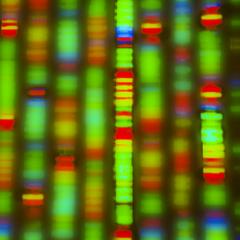 Business Game Changers Radio with Sarah Westall: CRISPR - Altering the Human Genome 