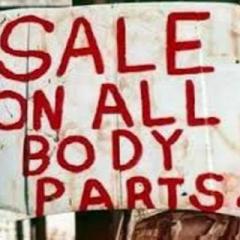 Business Game Changers Radio with Sarah Westall: Communist China Worldwide Plan, Organ Harvesting, Slave Labor