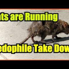 Business Game Changers Radio with Sarah Westall: Pedophile, Trafficking Crackdown - Good Guys Finally Winning?