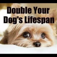 Business Game Changers Radio with Sarah Westall: Scientific Medical Studies: Mammals to Double Lifespan, C60 & Telomere Lengthening