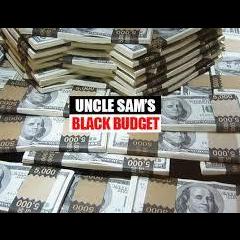 Business Game Changers Radio with Sarah Westall: Where are the Missing Trillions from the U.S. Budget?