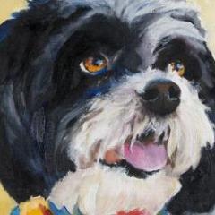 Gwen Fox-Herman-transformationtalkradio-thedrpatshow-dr pat