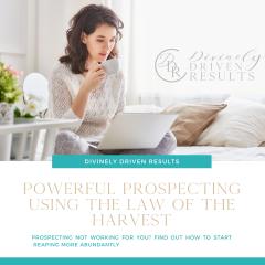 Divinely Driven Results with Elise Smith: Divine Business Strategies for Real Results: Powerful Prospecting Using the Law of the Harvest
