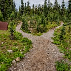 Empowerment Radio with Dr. Friedemann Schaub: From Midlife Crisis to Midlife Courage