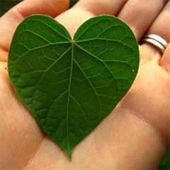 Energy Works Radio with Ataana - Activating Self-Healing & Awakening Your Potential: How Important is Self Love with guest Matthew Emerzian