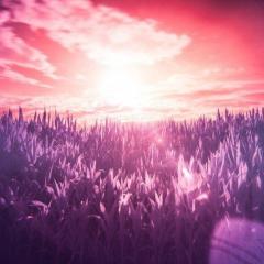 mike-murphy-unfiltered-radio-marcia-wieder-making-dreams-come-true-live-your-dream-vision