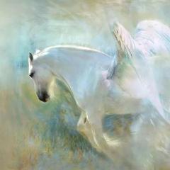 Angels, Spirit Guides, and Reiki, Oh my! Harness your Intuition and Grow Your Spirit with Rosemary DeTrolio