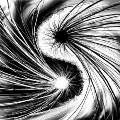 Knowledge Book Radio with Marge Ptaszek: Chaos - How Do We Escape?