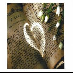 Your Transformational Journey to Freedom