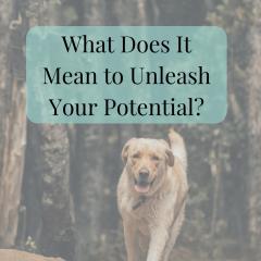 Unleash Your Potential