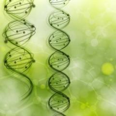 Lyme Talk Radio with Dr. Pat Baccili : Encore: Lyme Disease and Detoxification (Why It works) with Naturopath and Holistic Nutrition Specialist Dr. Roni DeLuz