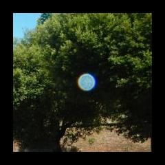 Maximum Medicine with Dr. Sharon Martin: Bridging the Mystical & Scientific for Healing: The Orb Connection with Nancy Myers