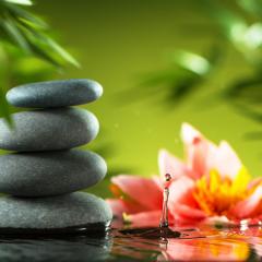 Maximum Medicine with Dr. Sharon Martin: Bridging the Mystical & Scientific for Healing: Ways of Being with Peter Coyote