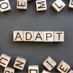 Maybe I Can! Exploring Possibilities, One Sprinkle at a Time with Debbie Weiss: A Sprinkle of Adaptability