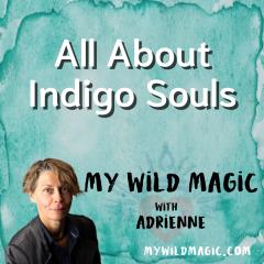 My Wild Magic with Adrienne: All About Indigo Souls