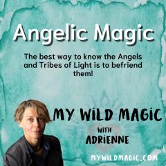 My Wild Magic with Adrienne: Angelic Magic