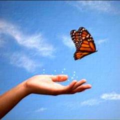 Natural Peace Radio with Sarah van Rijsewijk: emotionally activated ~ magically created: Learning to Let Go