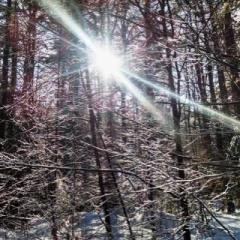 Natural Peace Radio with Sarah van Rijsewijk: emotionally activated ~ magically created: The Choice to Love