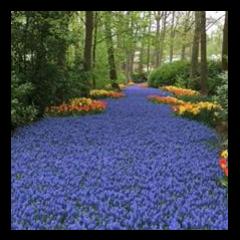 Nothing But Now ~ Mindful Living with Dr. Mariangela Maguire: Catch and Release