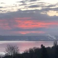 Nothing But Now ~ Mindful Living with Dr. Mariangela Maguire: Why is "Why" an unhelpful question?