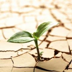 On the Verge Radio with Laura Richer - Using Your Breakdown for a Breakthrough: Laura Richer of On The Verge Radio Shares Tools To Use Your Breakdown as a Breakthrough