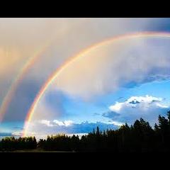 PURE Intuitive Talk with Trish Smith: Powerful, Unlimited, Resilient, Essence: Awakening Your Sacred Path to Living in Alignment