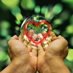 The Dr Pat Show, Dr Pat Show, Dr Pat, Pat Baccili, Transformation Talk  Radio, transformation, Megan Edge, Playing On The Edge Radio