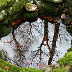 On the Edge of Reflection: A Retrospective