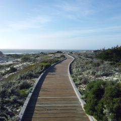 Megan Edge, On The Edge Radio, Playing on The Edge