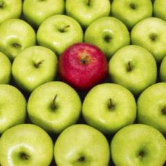 Questionable Conversations ~ Dr. Glenna Rice MPT: Is Today the One Day Each Year You Feel Like You Fit In?