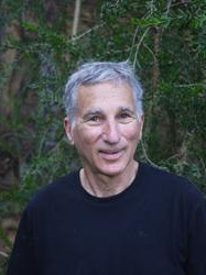  RIchard Grossinger Ph.D.