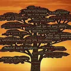 Sharing Love & Light Show with Kimberly Barrett: Vibration and Consciousness on the Planet: Happy New Year Intuitive Guidance Readings by Kimberly