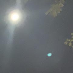 Shifting Impressions: Conversations with The Realm of Beings to Create a New You: The Meaning of Equality in the Universe