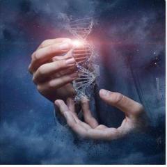 Soul Matrix Show with Sheri Collins - Unleashing the Power of Your Infinite Soul: Live Healings