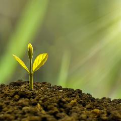 Soul-Wisdom Abundance: Create Wealth from Spiritual Health with Jennifer Bloome: Change Your Financial Bottom Line Through the Power of Being