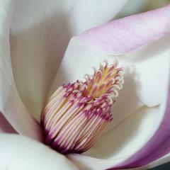 Soul-Wisdom Abundance: Create Wealth from Spiritual Health with Jennifer Bloome: Cultivating A Life That Matches Your Soul