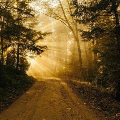 Soul-Wisdom Abundance: Create Wealth from Spiritual Health with Jennifer Bloome: Leading Your Way to Financial Wealth