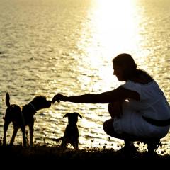 Soul-Wisdom Abundance: Create Wealth from Spiritual Health with Jennifer Bloome: The Creation of a Money Relationship - a first hand story