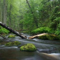 Soul Wisdom Radio with Wendy Rose Williams - Living YOUR Joyful Life!: "Loving Your Sexy Self"