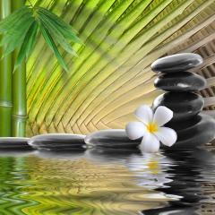 Fearless in the Face of Death  Jan's Story on the Fourth of July