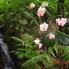 Spacious Unknowing Network: Communing with Your Soul with Julie O Rose & JoJo Rose: The Agency of Providence
