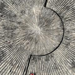 Spacious Unknowing Network: Communing with Your Soul with Julie O Rose & JoJo Rose: Why Is It Important to Have A Personal Presence Portal?